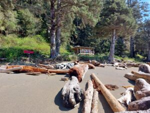 Tsocowis Creek Guardian Cabin WCT