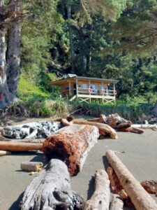 Tsocowis Guardian Cabin WCT